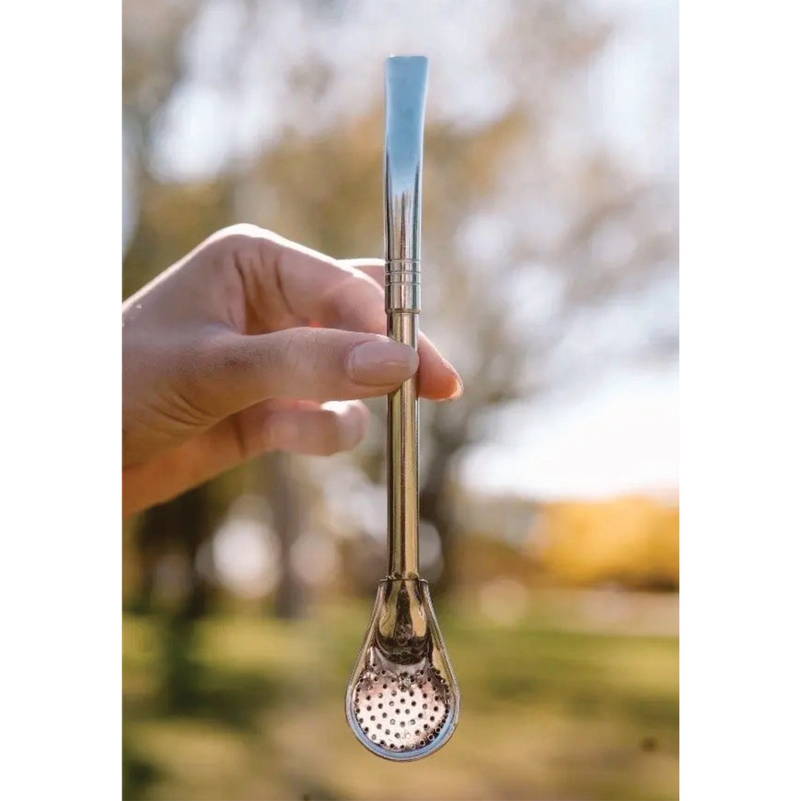 Bombilla Pico de Loro Acero Inox